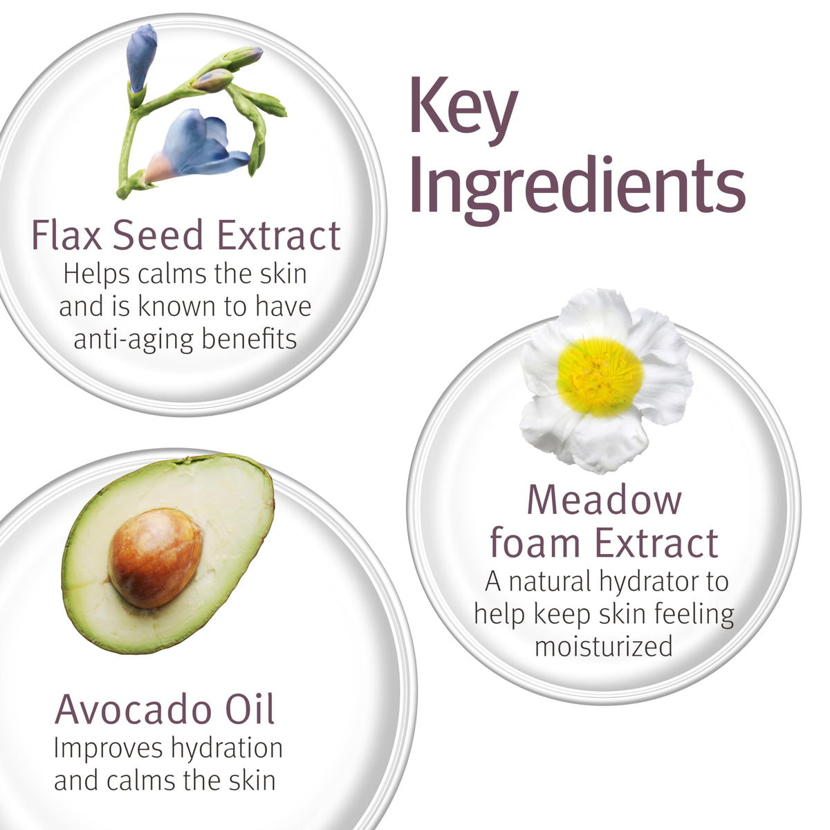 Epionce raspberry seed oil ingredient image showing nourishing botanicals