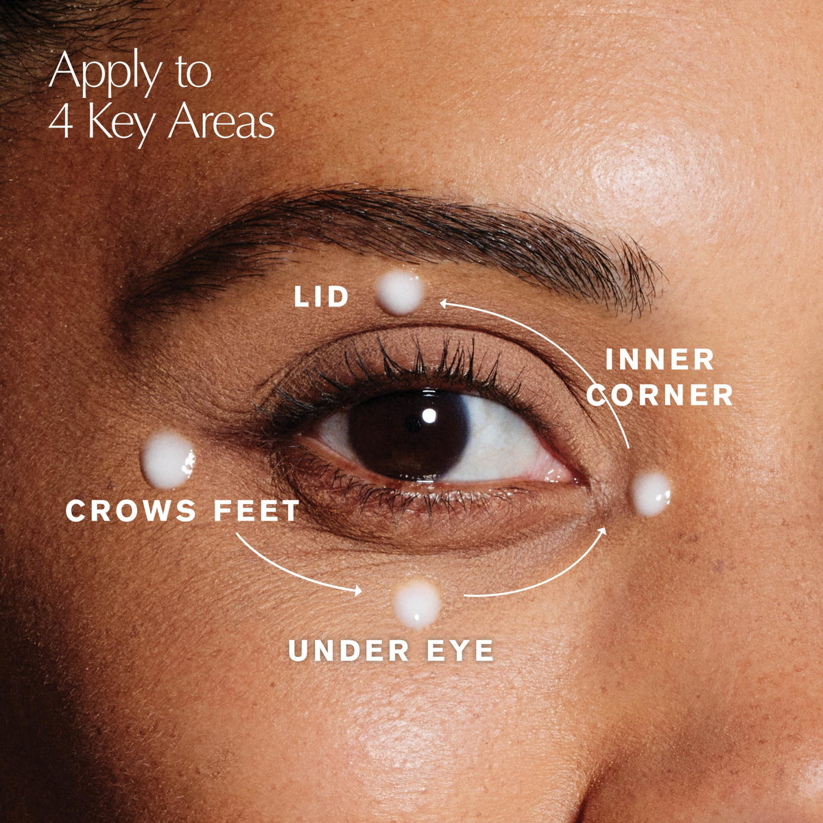 Estée Lauder ingredient 2HA hyaluronic acid graphic illustrating plumping action
