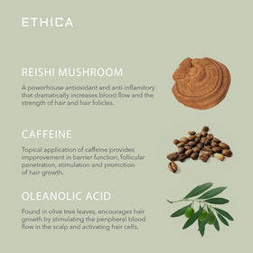 Ethica Beauty before and after scale comparison showing improved volume