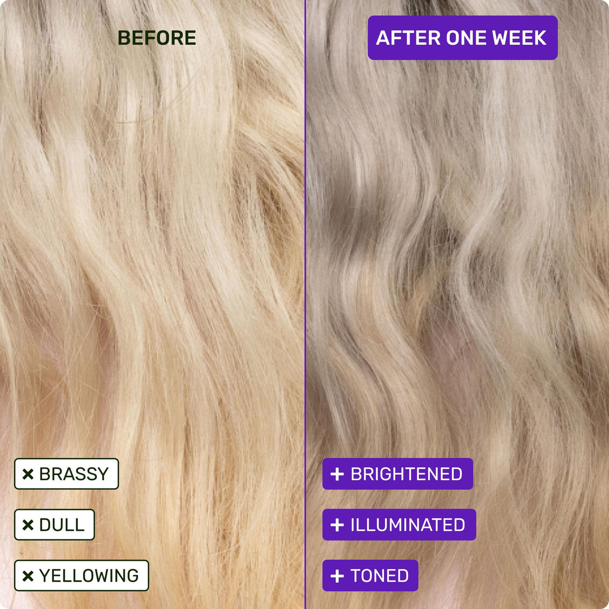 Ethique purple shampoo bar paired with conditioner bar for complete toning routine