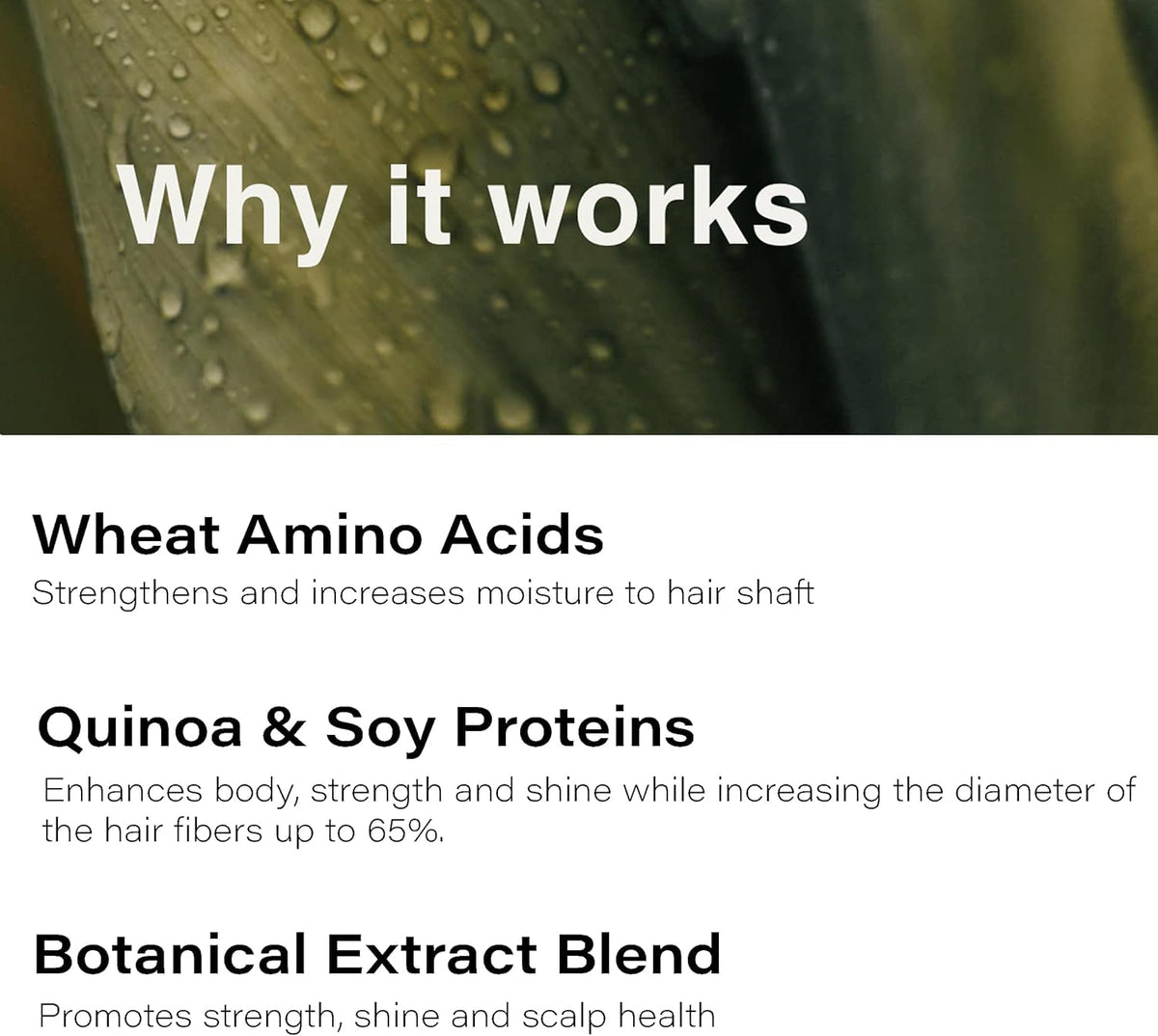 Applying Eufora shampoo to wet hair illustrating root lift and even coverage