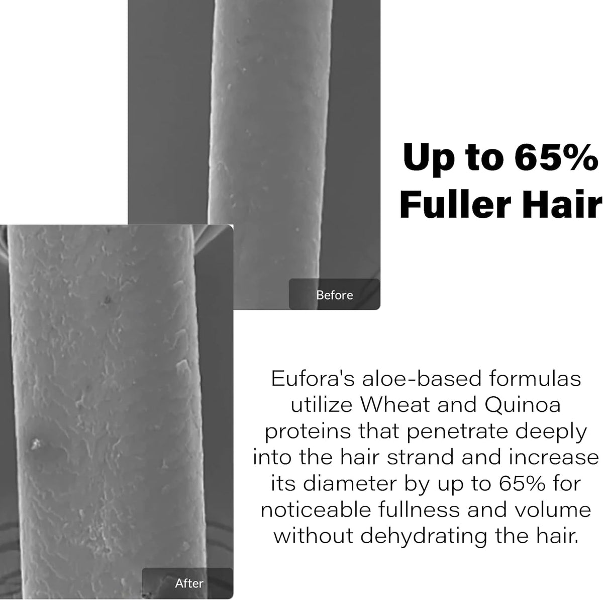 Foamy lather texture of Eufora shampoo demonstrating gentle, effective cleansing