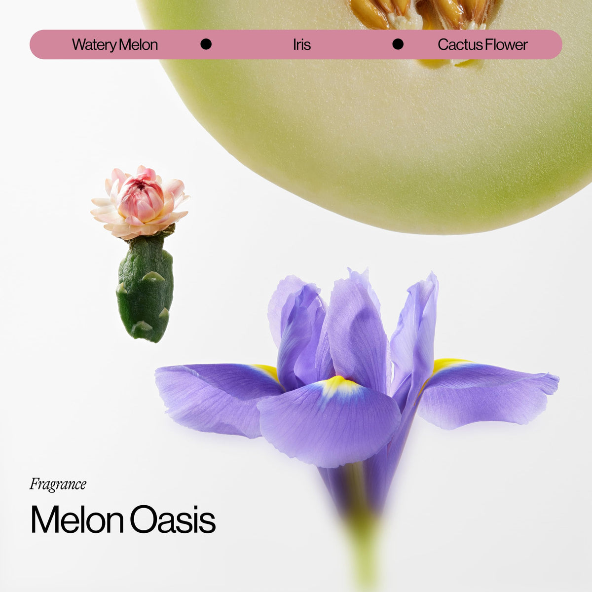 EVA·NYC on bathroom shelf conveying effortless styling and subtle lavender scent