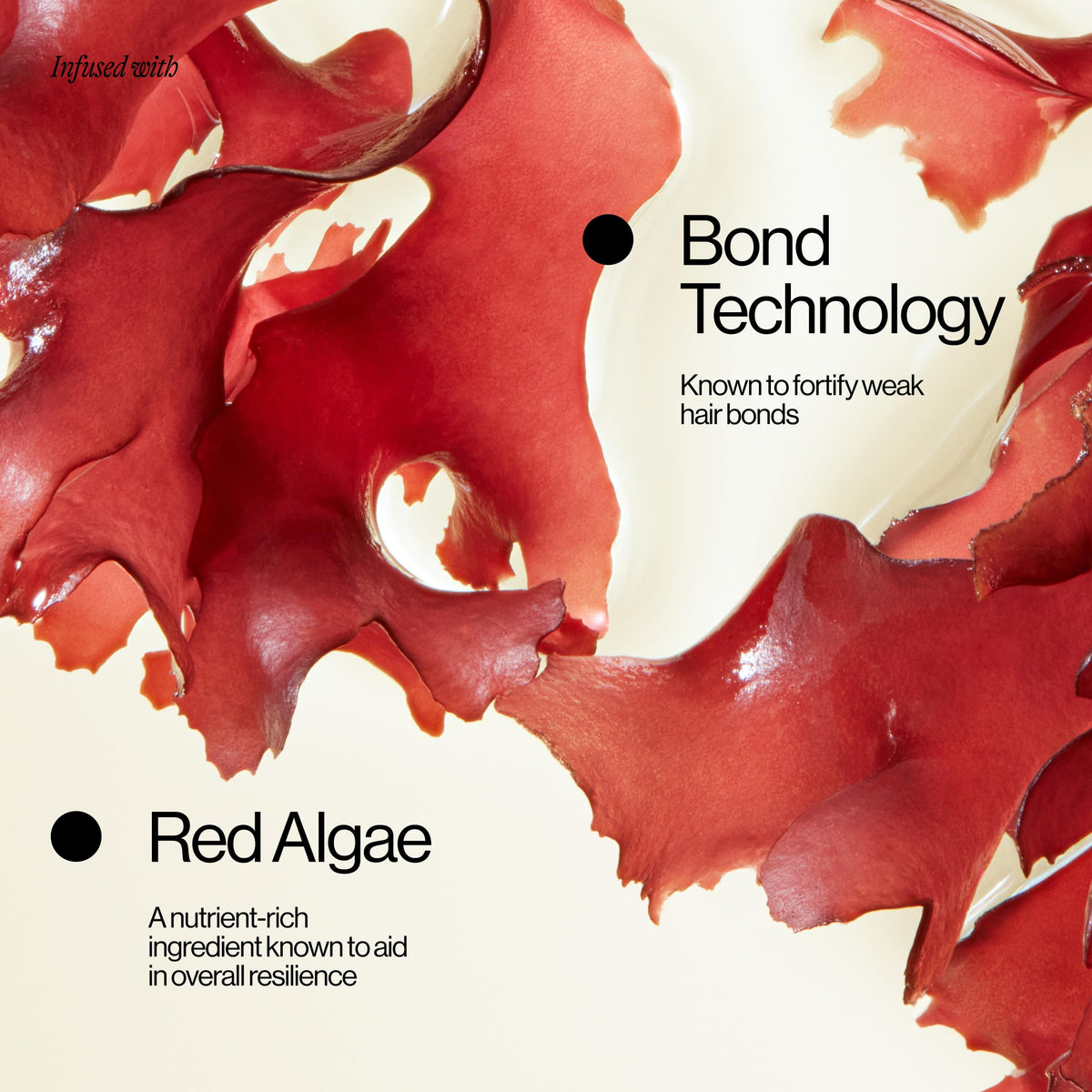 EVA·NYC red algae ingredient visual highlighting resilience support