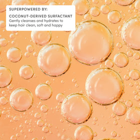 Evereden ingredient list flatlay emphasizing clean vegan formulation
