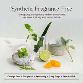 Everist product label and ingredients emphasizing clean formulation
