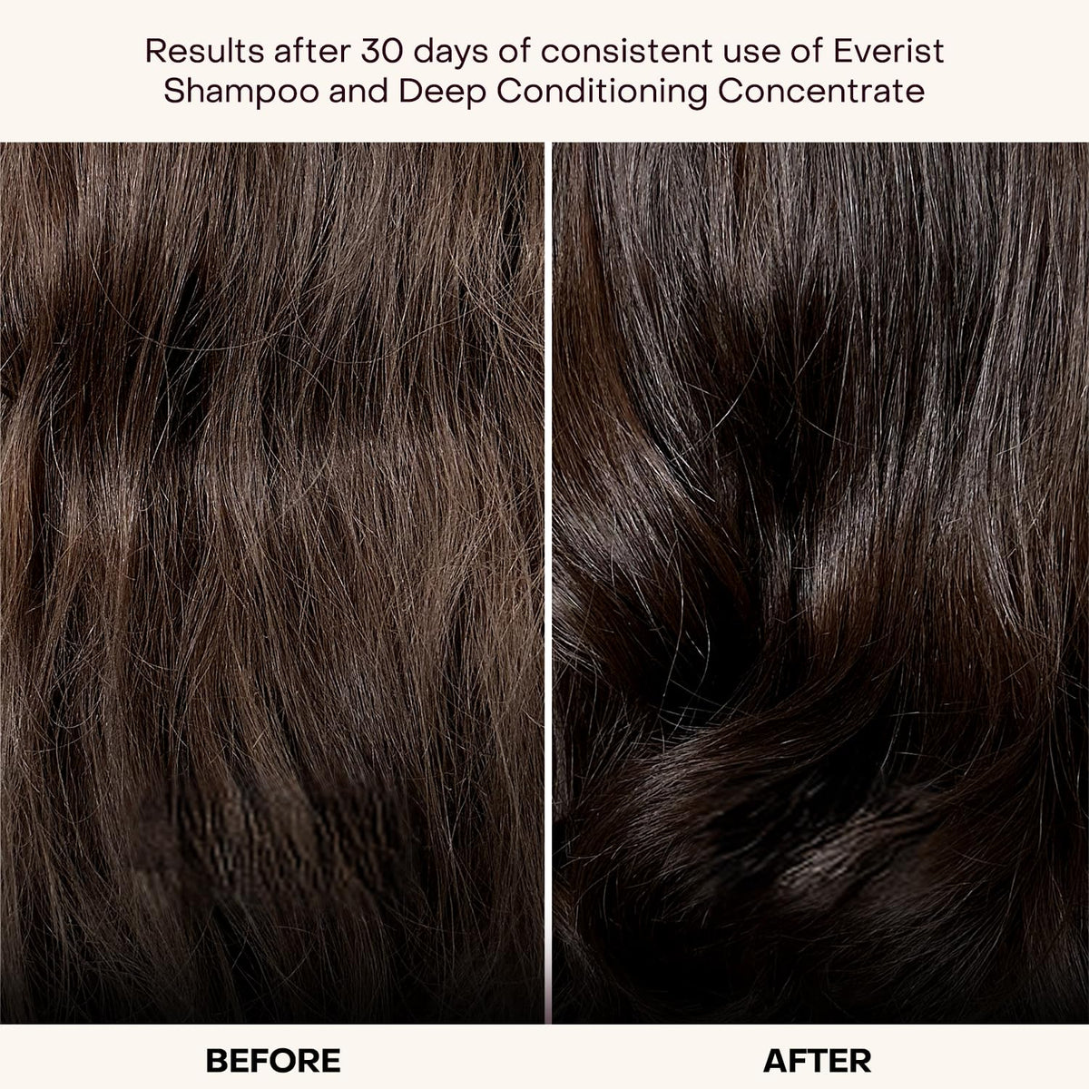 Everist shampoo concentrate close-up showing nozzle and label for easy dosing