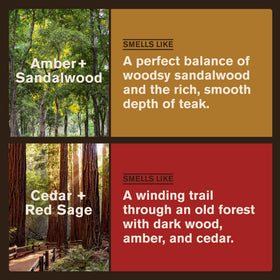 Every Man Jack side label close-up highlighting naturally derived ingredients and benefits