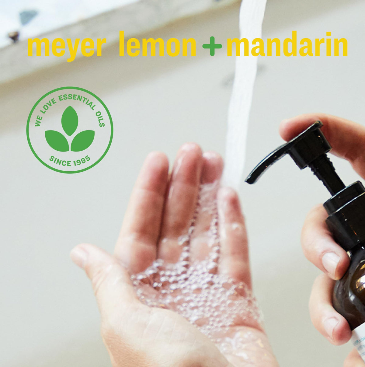 everyone pouring refill into dispenser demonstrating easy transfer benefit
