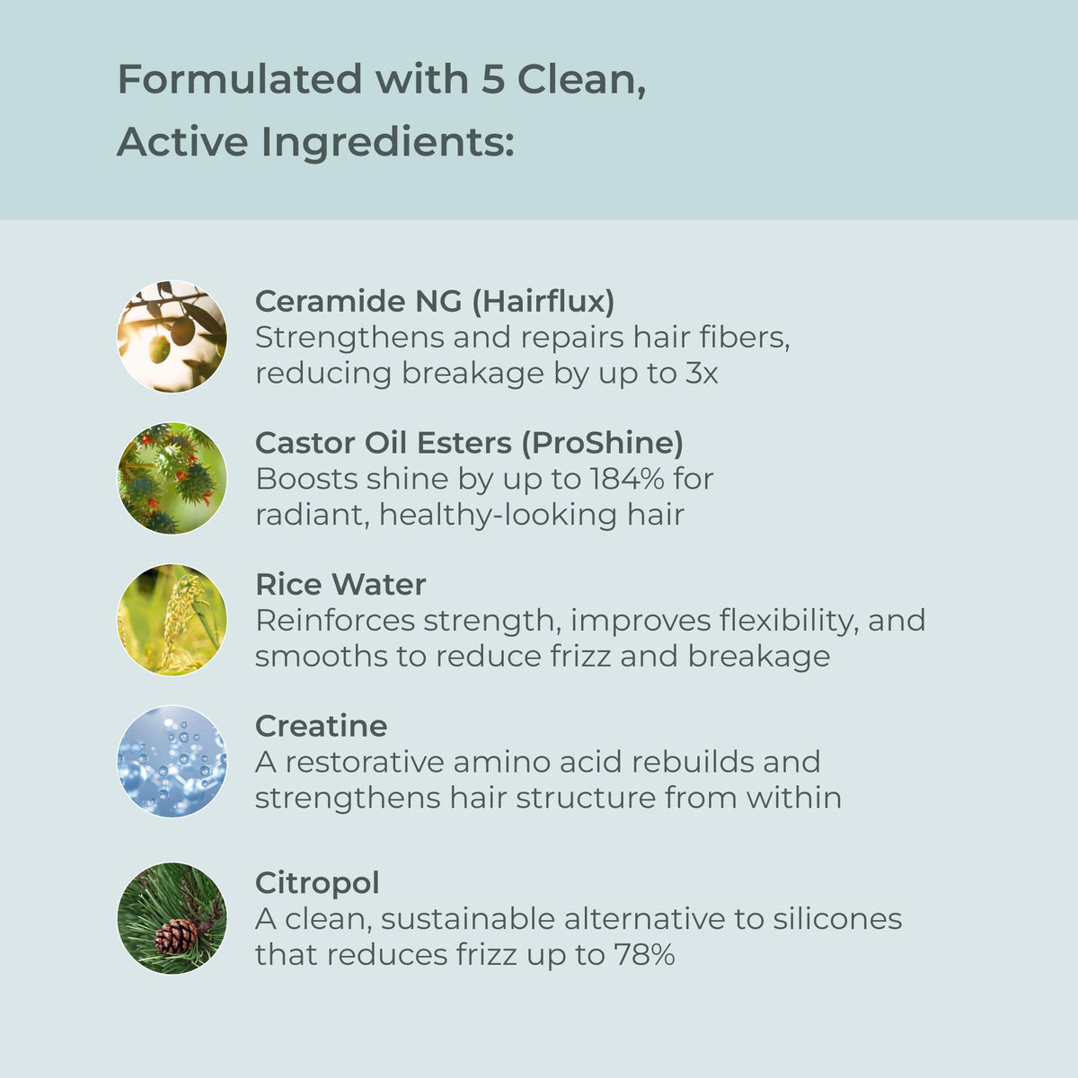 EVOLVh close-up of shampoo texture highlighting creamy hydrating formula