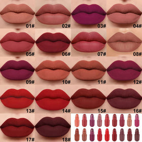 evpct top view open case displaying all 18 shades for quick selection