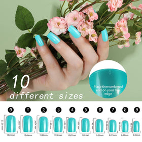 Fandamei colorful nails fanned out to show glossy finish and matching outfit versatility