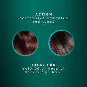 Fanola applying mask on brunette hair for neutralizing red tones
