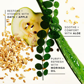 Farmacy moringa and aloe display illustrating soothing, natural ingredients