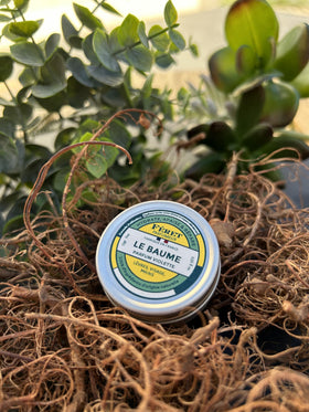Feret Parfumeur tin next to coin for scale, travel‑friendly 15ml size