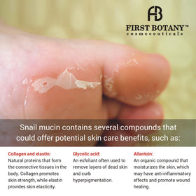First Botany back label close-up showing clean ingredients for transparency