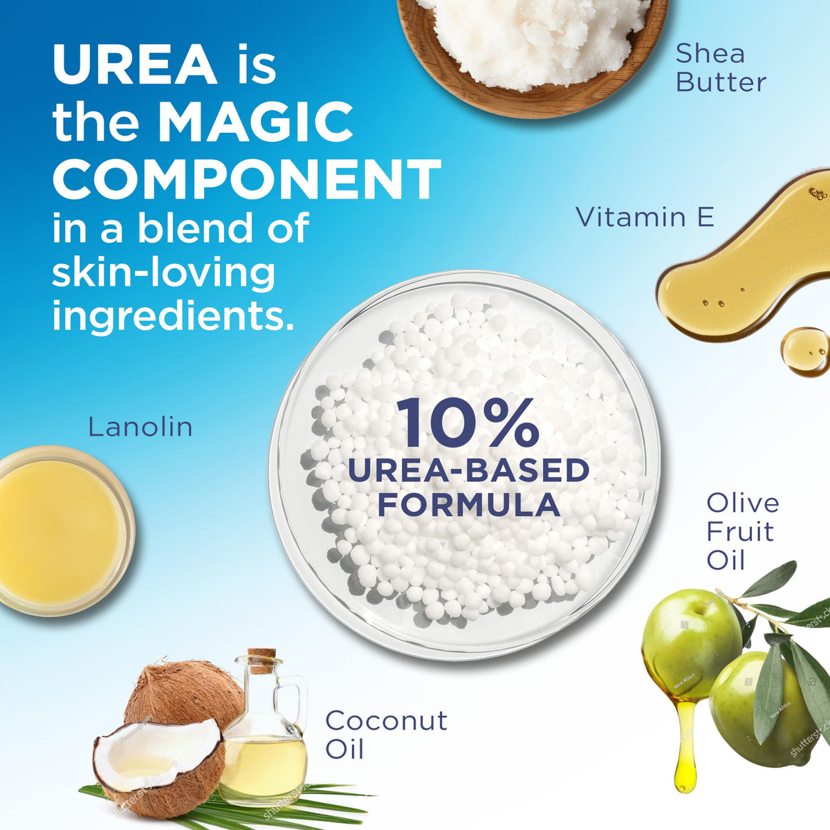 Flexitol label ingredients panel showing urea, shea butter and vitamin E benefit