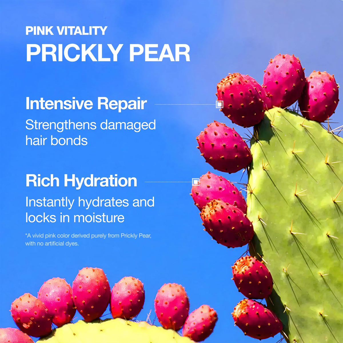 FROMLABS booster ingredients label showing clean formula for worry‑free ingredient transparency