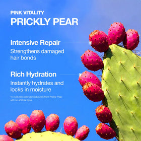 FROMLABS booster ingredients label showing clean formula for worry‑free ingredient transparency