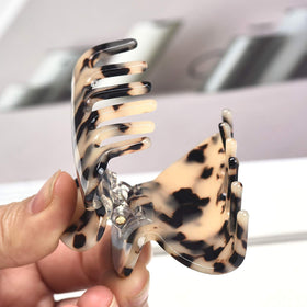 Fsmiling tortoise and leopard patterns side-by-side for styling variety benefit
