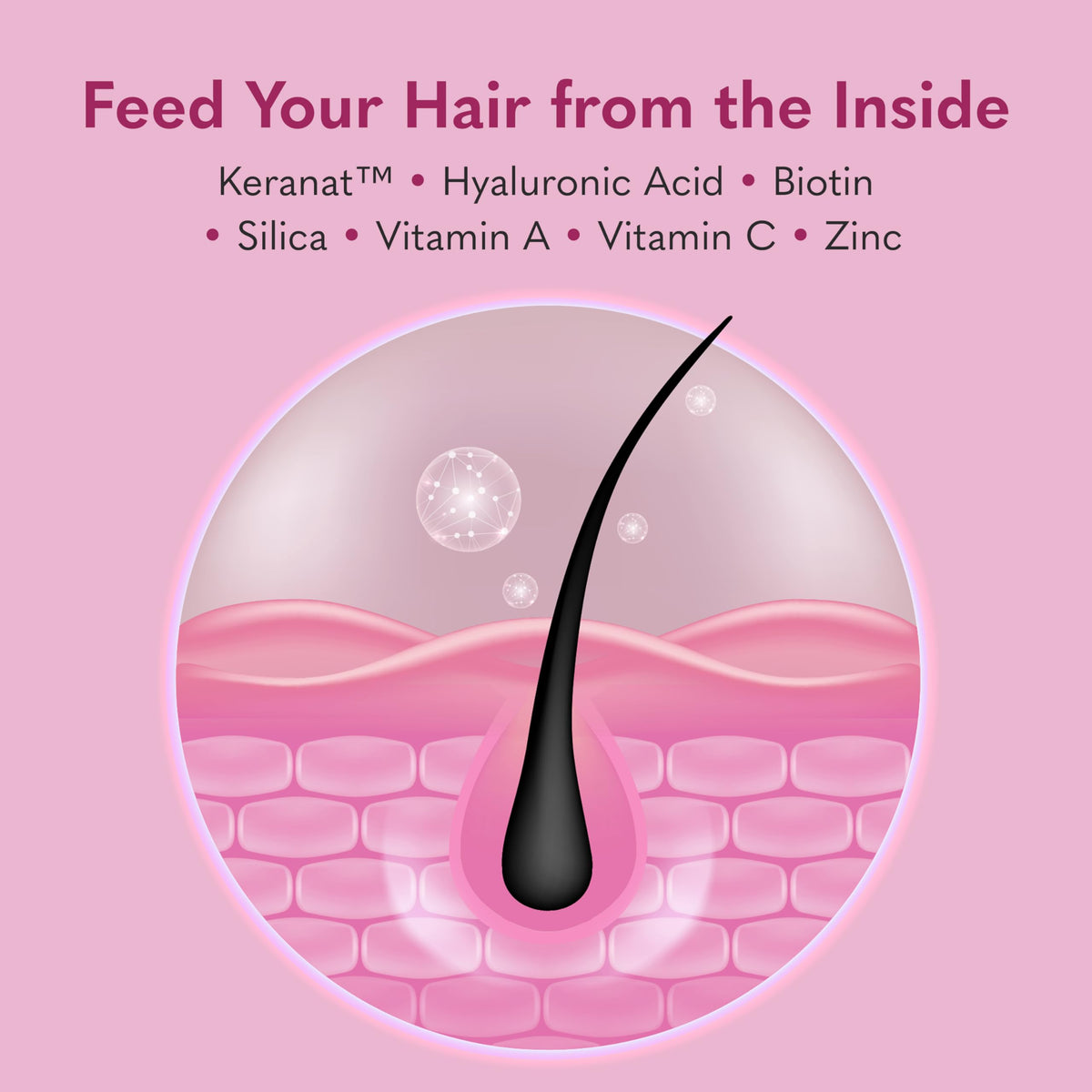Garden of Life capsule macro texture highlighting plant-based shell and release tech