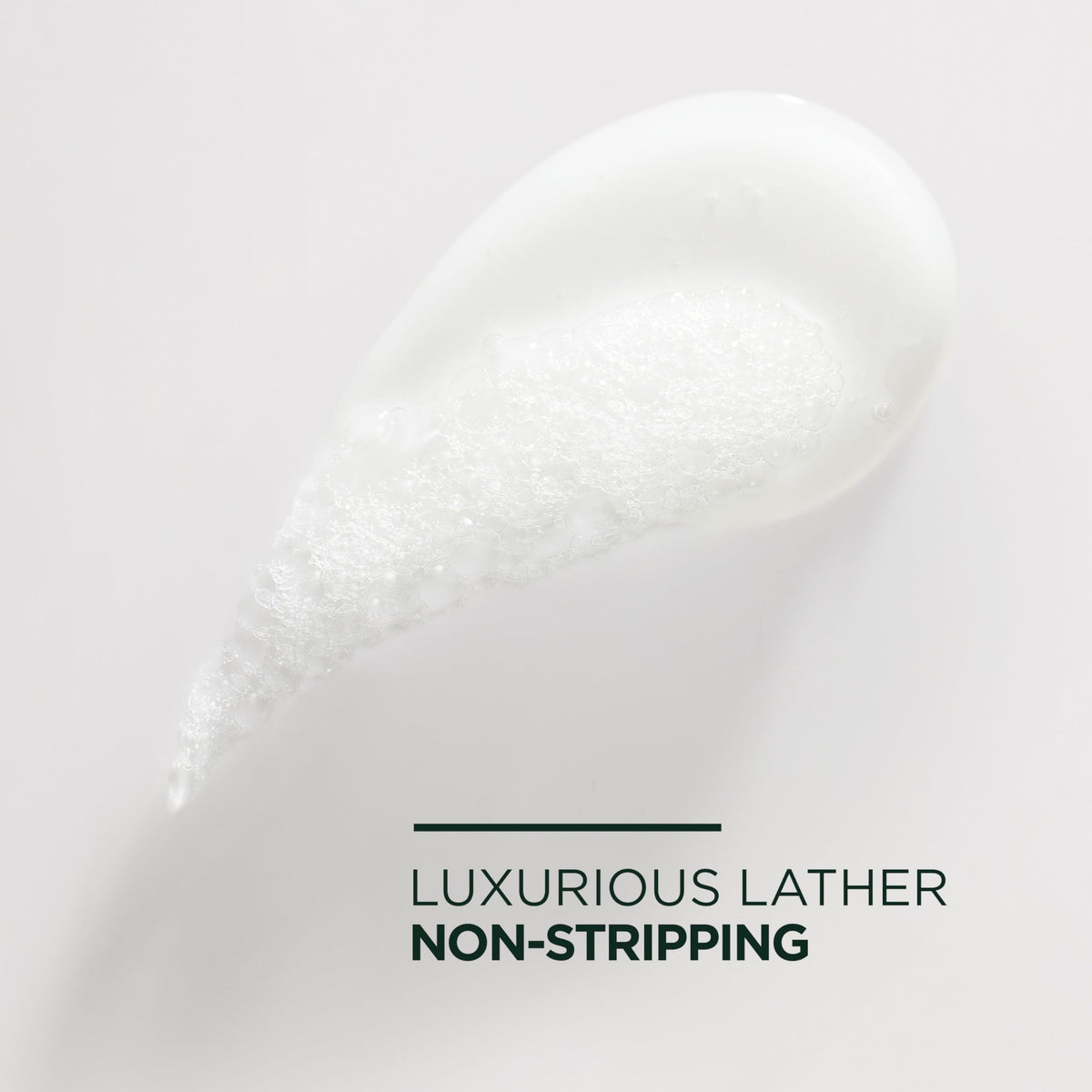 Garnier Fructis stylized polypeptides visual representing repair benefit