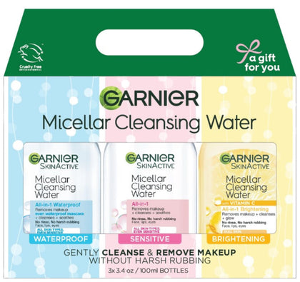 Garnier front packaging showing three mini bottles and clear travel-friendly benefit