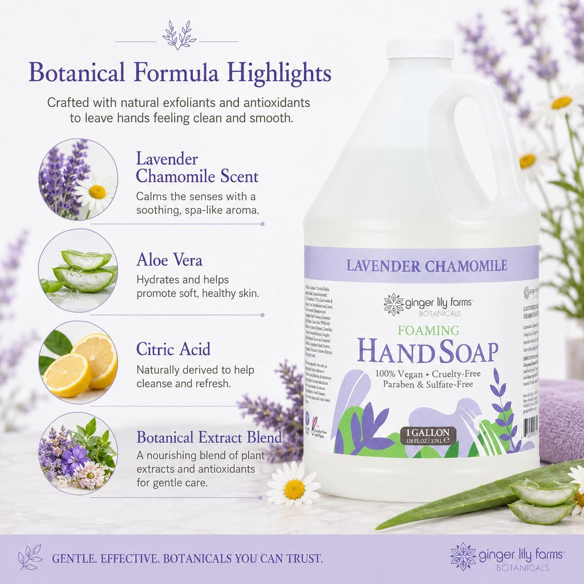 Natural botanical ingredients flatlay with Ginger Lily Farms product highlighting plant-based formula