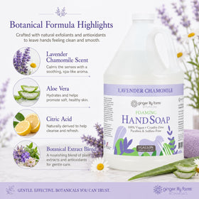 Natural botanical ingredients flatlay with Ginger Lily Farms product highlighting plant-based formula