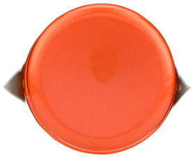 GIOVANNI ingredient label close-up highlighting color-safe, vegan formulation benefits