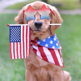 Go Ho accessories worn at a backyard party showing coordinated patriotic outfits