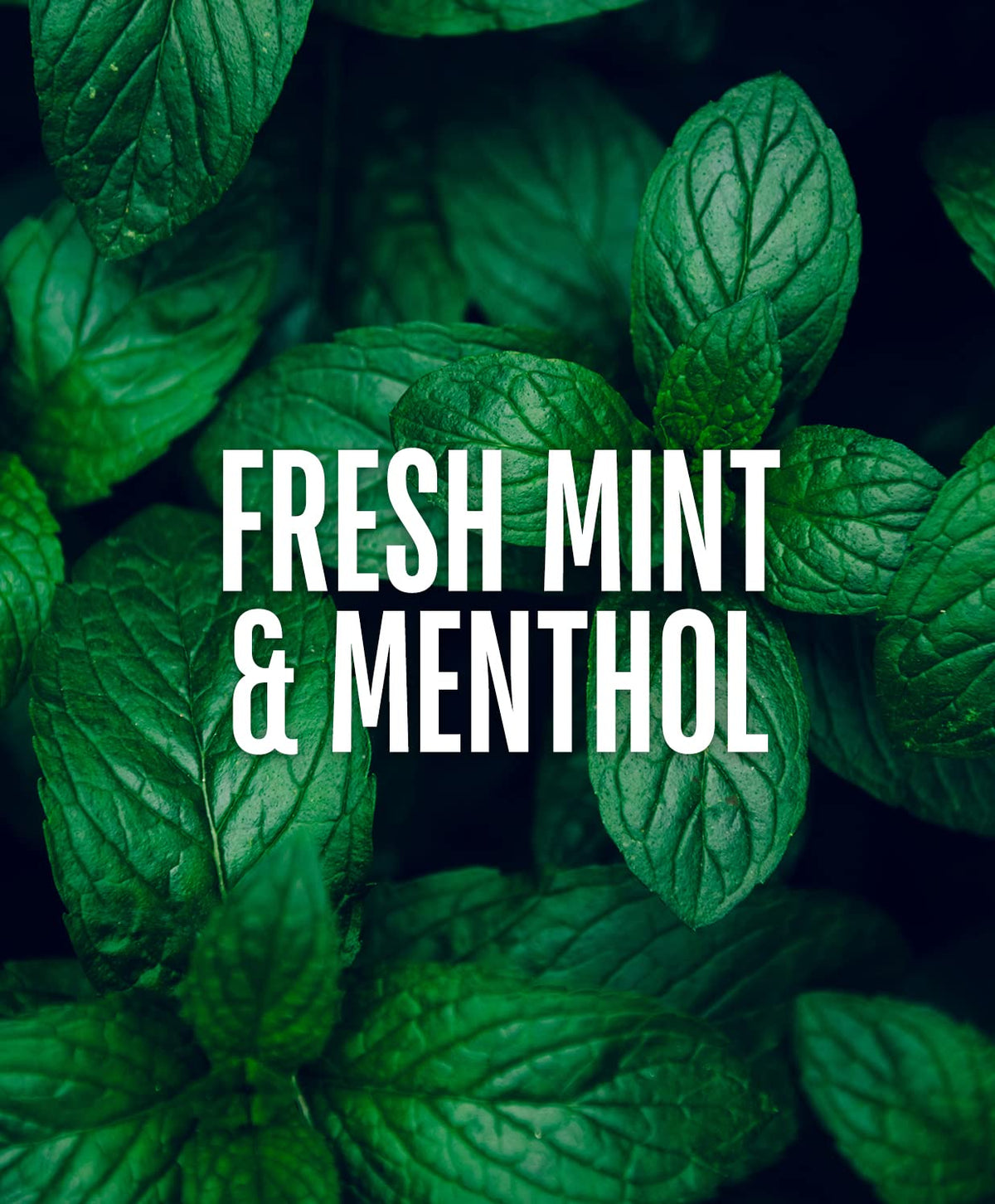 GO247 on shower shelf in morning routine portraying energizing mint boost
