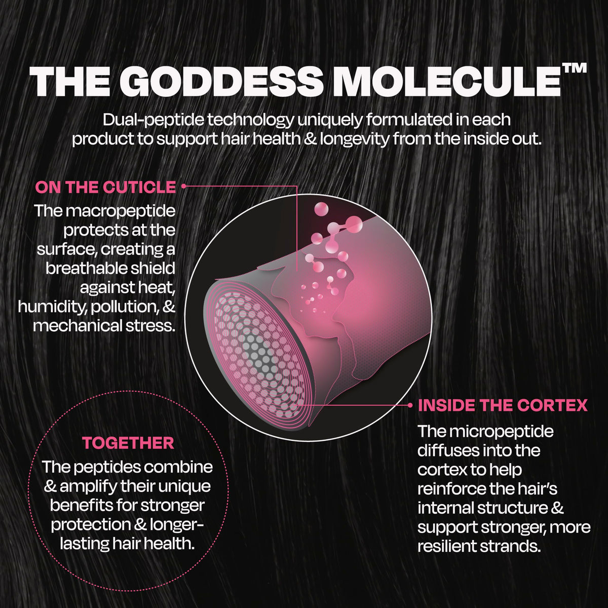 Goddess Maintenance used during blowout to speed drying and smooth cuticle