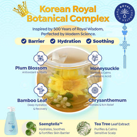 GOONGBE moringa extract visual emphasizing natural purifying ingredient benefits