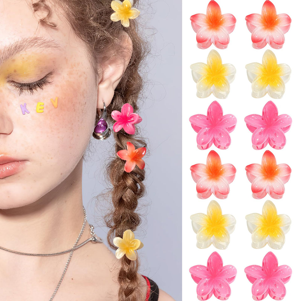 GQLV front packaging showing 12 multicolored flower clips and tidy storage