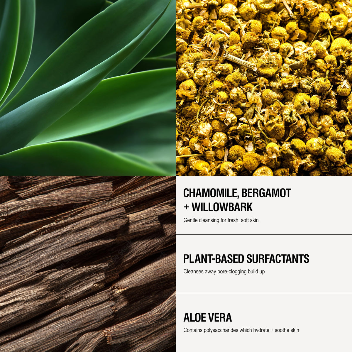 Grown Alchemist willow bark and bergamot ingredients display highlighting natural exfoliant benefit
