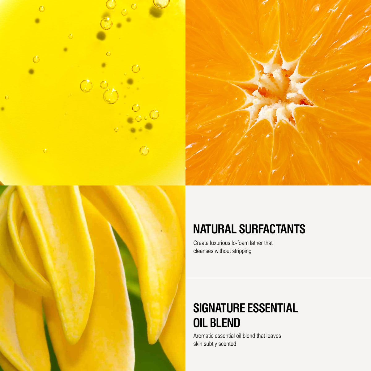 Grown Alchemist aloe vera ingredient detail highlighting hydration benefits