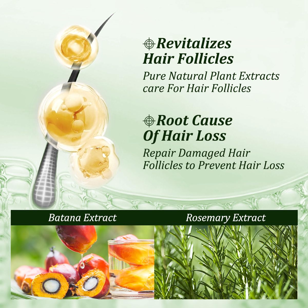 Gypsophila rosemary extract close-up showing botanical ingredient for scalp comfort
