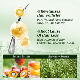Gypsophila rosemary extract close-up showing botanical ingredient for scalp comfort