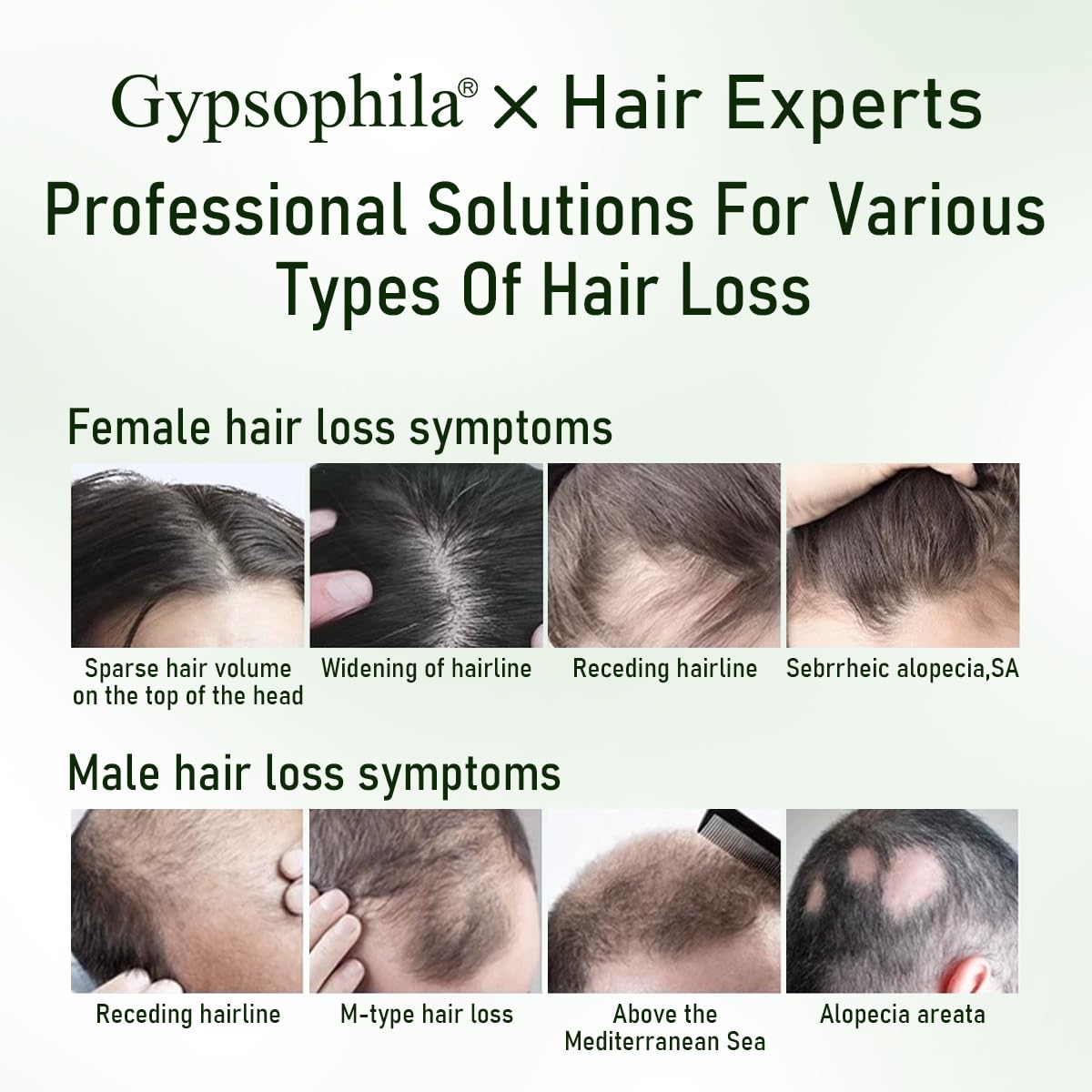 Gypsophila shampoo bottle label detail emphasizing rosemary infusion