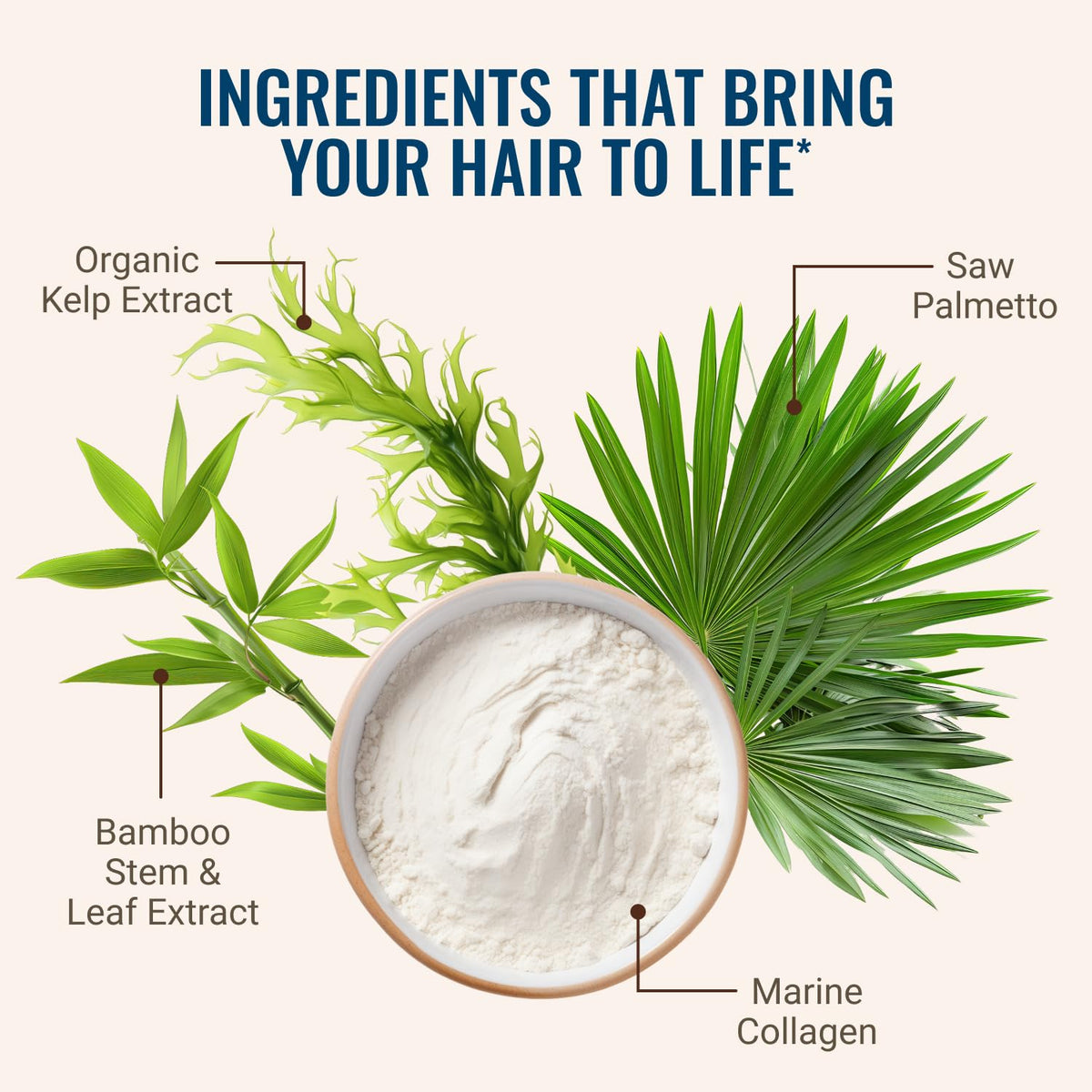 Hair La Vie tablets in palm demonstrating single-dose convenience