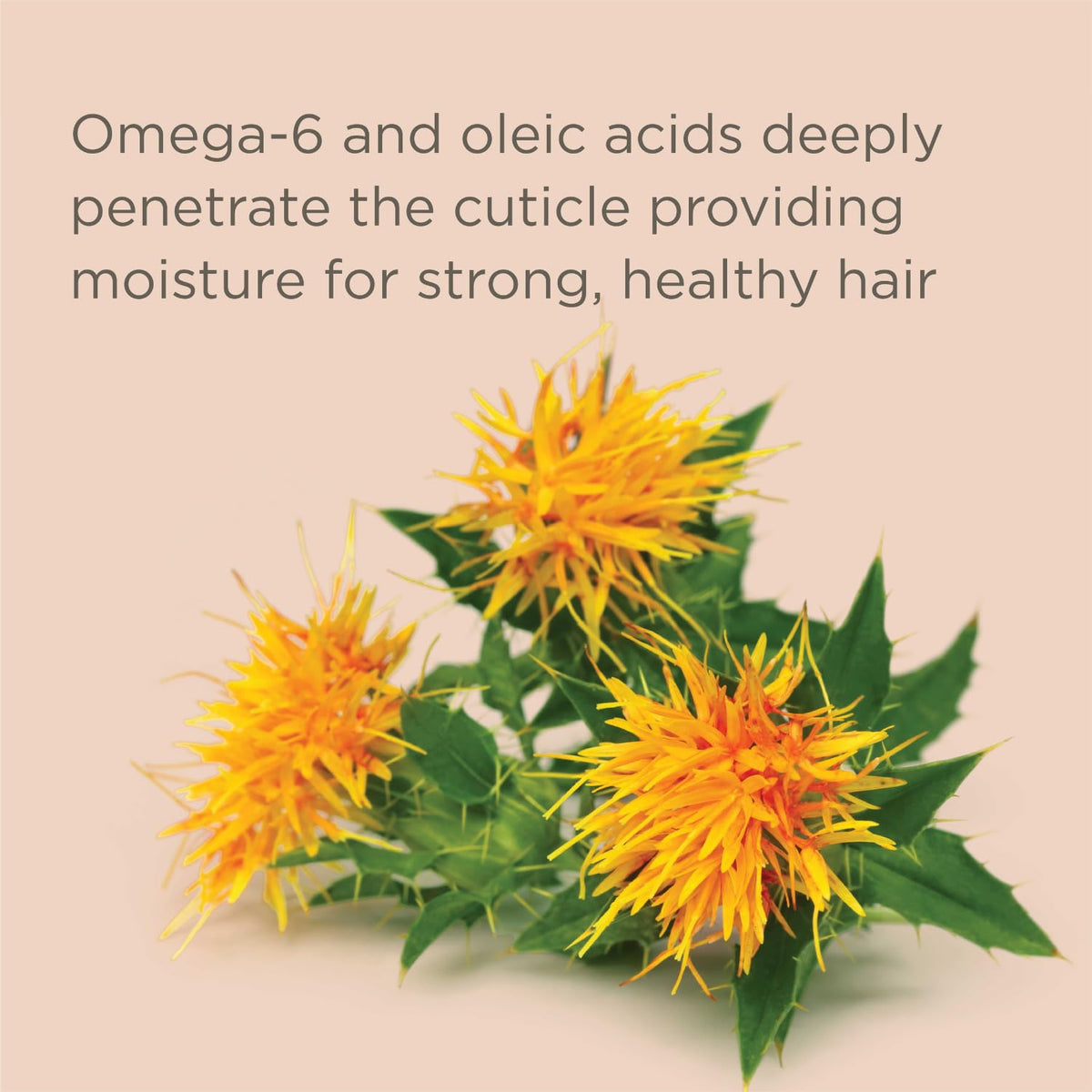 Hairitage back label with directions and ingredient highlights for safe use