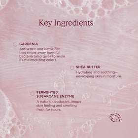 HANNI being used as shaving cream on leg showing smooth glide benefit
