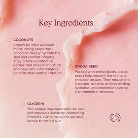 HANNI fatty ingredients flatlay showing cocoa, avocado, chia for barrier support