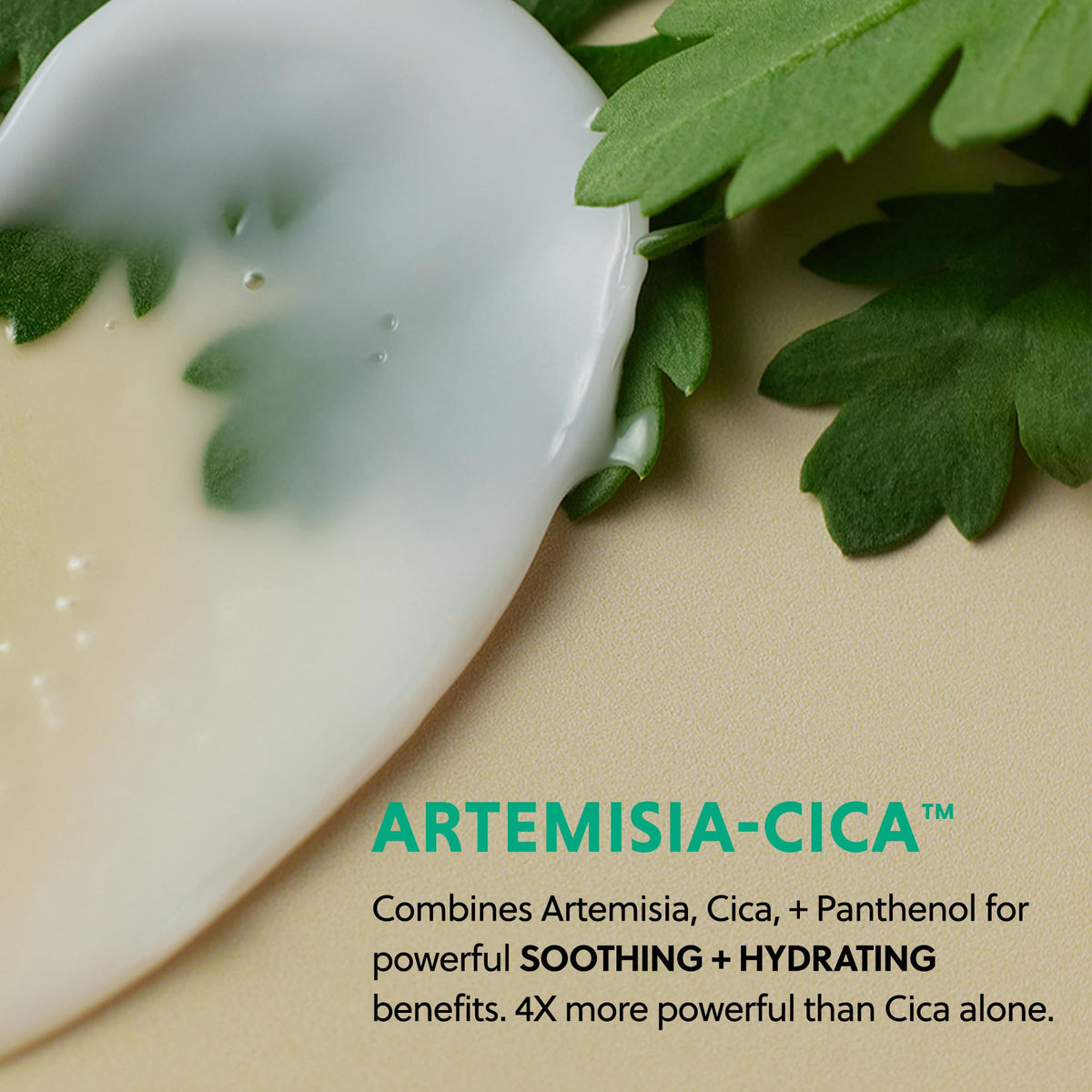 Hanyul close-up of ingredient label highlighting Artemisia-Cica complex benefit