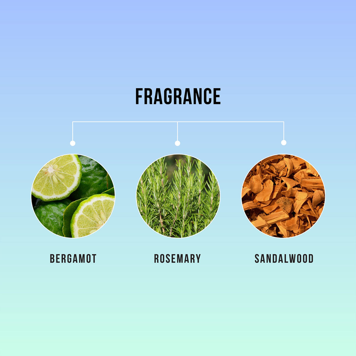 HASK product label close-up showing ingredient and free-from claims