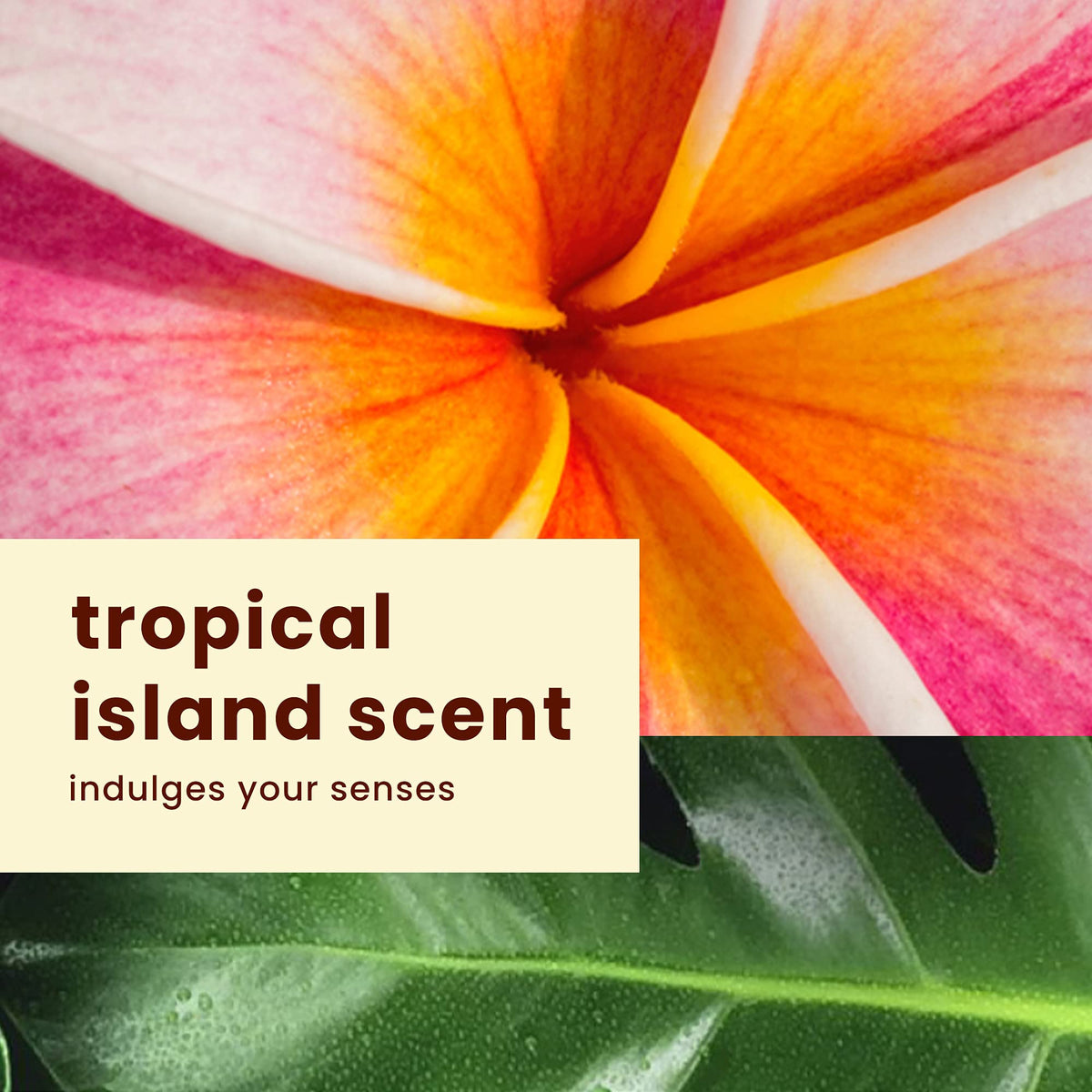 Hawaiian Tropic bottles peeking from beach bag suggesting on-the-go protection