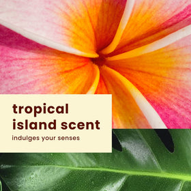 Hawaiian Tropic bottles peeking from beach bag suggesting on-the-go protection