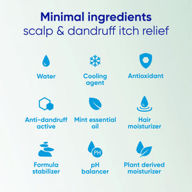 Head & Shoulders treated hair styled to show non-greasy finish
