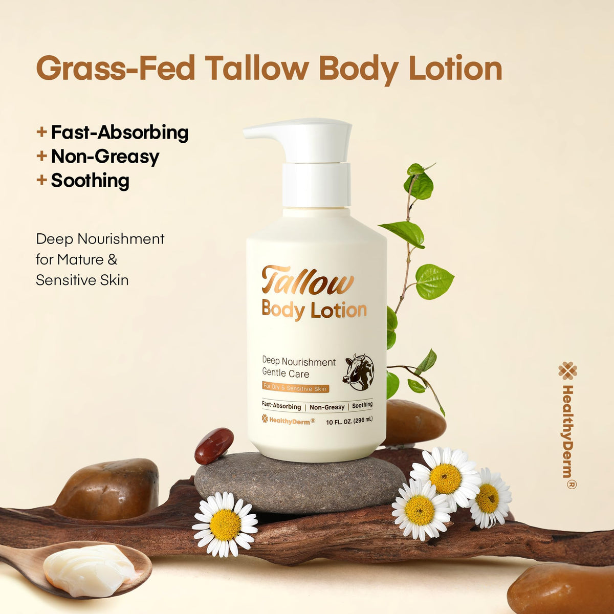 HealthyDerm ingredients flatlay with shea, aloe and grass-fed tallow